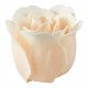 Set of 12 roses in white and nude soap sheets - Rose Scent