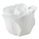 Set of 12 roses in white and nude soap sheets - Rose Scent