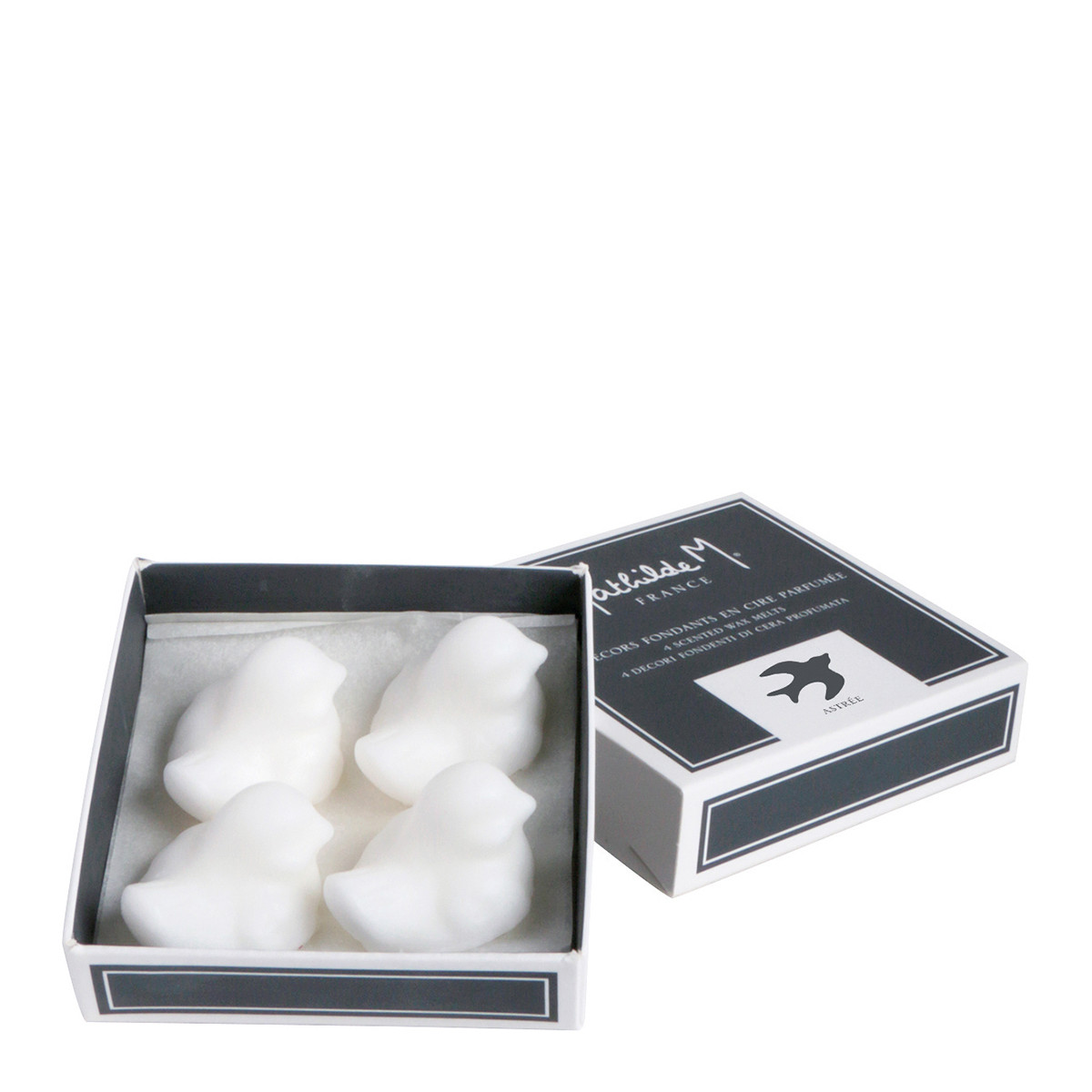 Scent-A-Bration Box New - Wax Melt Addition - Wix Wax Candle Company