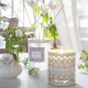 Vase soliflore Amour de Fleurs