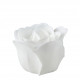 Heart Box with 3 white soapleaves - Rose Fragrance