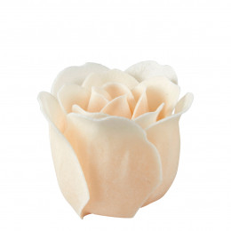 Boîte Cœur de 3 roses de savon nudes - Rose