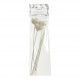 Sachet of 3 Flower stems and 4 rattan stems 25 cm