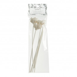 Sachet of 3 Flower stems and 4 rattan stems 25 cm