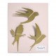 Set of 3 Swallows
