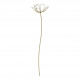 Fleur décorative