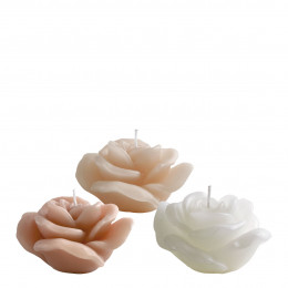 Set di 6 candele decorative profumate alla Rosa