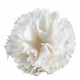 Boule de savon Œillet parfumé blanc - Parfum Rose