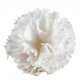 Boule de savon Œillet parfumé blanc - Parfum Rose