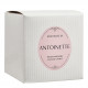 Vela perfumada Les Intemporelles 400 g - Antoinette
