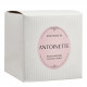 Bougie parfumée Les Intemporelles 400 g - Antoinette
