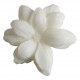 Set of 3 scented wax melts - Sublime Jasmin