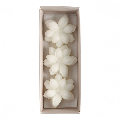 Coffret de 3 décors fondants en cire parfumée - Sublime Jasmin