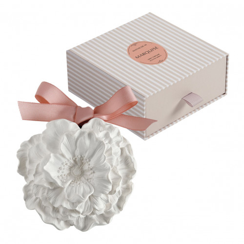 Gran Flor perfumada - Marquise