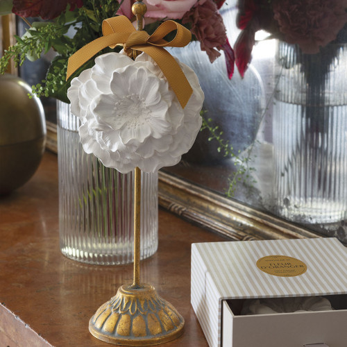 Grande Fleur profumata - Fleur d'Oranger