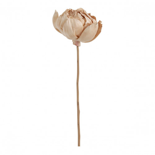 Ramo de 3 decoraciones vegetales secas - Rosa envejecido