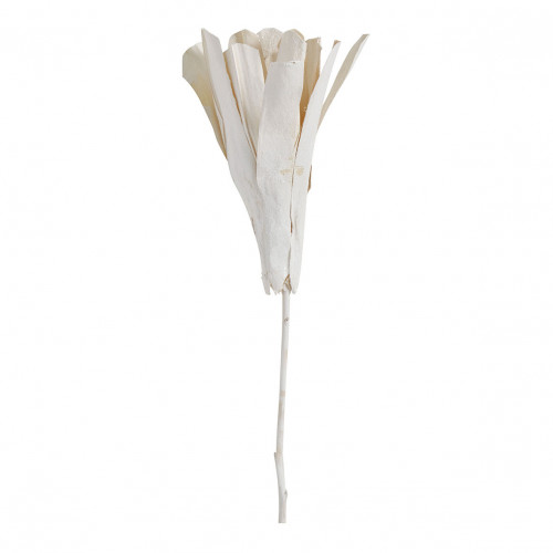Bouquet of 3 dried floral decorations - Glittery white