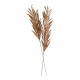 Dried Floral Decoration - Antique Pink
