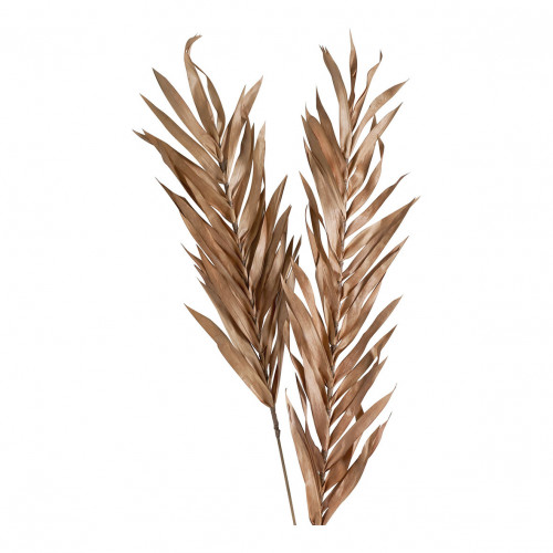 Decoración vegetal seca - Rosa antiguo