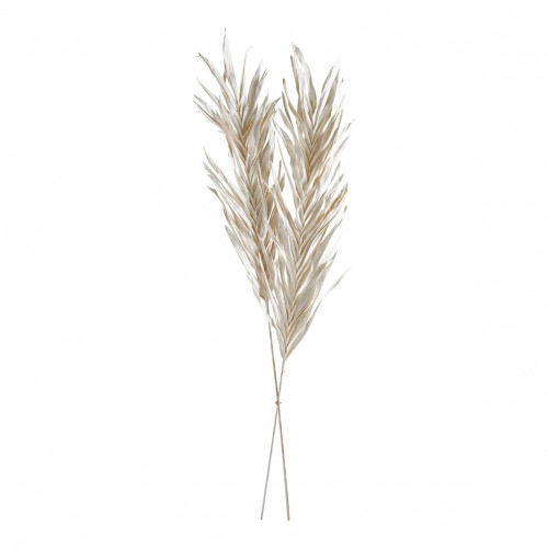 Decoración vegetal seca - Blanco brillante