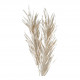 Dried Plant Decoration - Glittery White