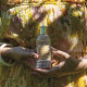 Água de toilette 100 ml - Flor de Tangerina