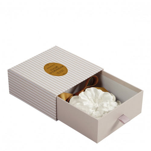 Grande Fleur parfumée - Fleur d'Oranger