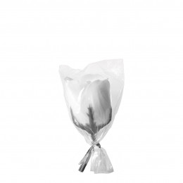 Rosa em folha de sabão - Perfume rosa