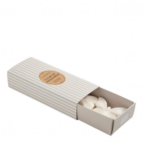 Conjunto de 3 decorações derretíveis em cera perfumada - Flor de Tangerina