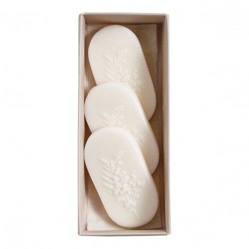 Coffret de 3 décors fondants en cire parfumée - Mimosa Joli