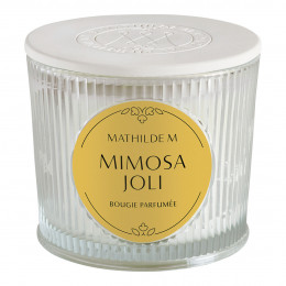 Vela perfumada Les Intemporelles 400 g - Mimosa Joli
