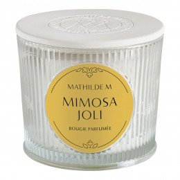 Les Intemporelles Scented Candle 400 g - Mimosa Joli