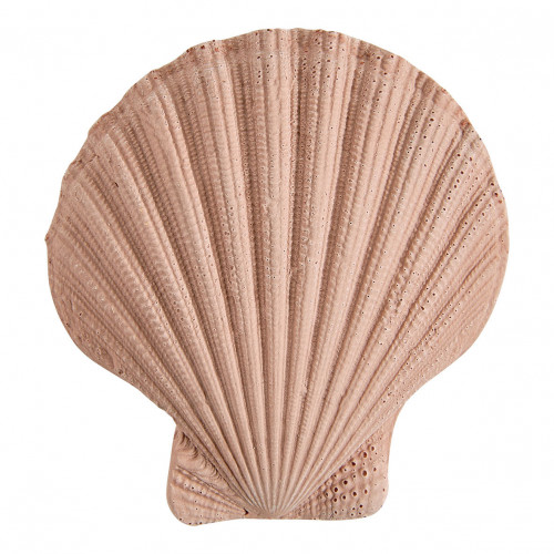 Borsa cofanetto profumo per ambienti 30 ml e decori profumati Bain de Soleil - Néroli Paradis