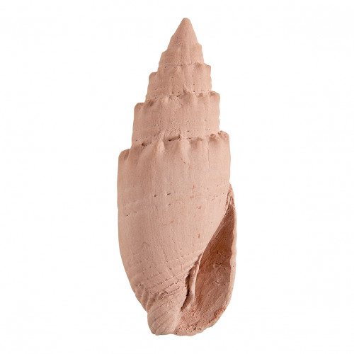 Borsa cofanetto profumo per ambienti 30 ml e decori profumati Bain de Soleil - Néroli Paradis