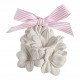 Coffret découverte Les Intemporelles en Fleurs - Marquise