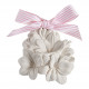 Intemporelles en Fleurs Discovery Set - Marquise