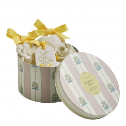 Cofanetto di 5 decorazioni profumate - Mimosa Joli