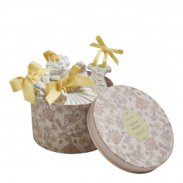 Estuche de 5 decoraciones perfumadas - Soleil Pastel