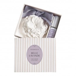 Scented Decor and Fragrance Concentrate Les Intemporelles - Belle Lavande