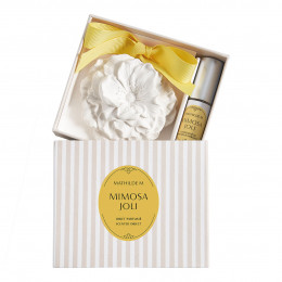 Decoración perfumada y concentrado de perfume Les Intemporelles - Mimosa Joli