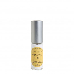 Concentrado de perfume de ambiente Les Intemporelles 4 ml - Mimosa Joli