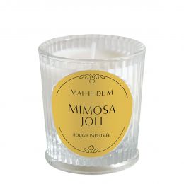 Bougie parfumée Les Intemporelles 65 g - Mimosa Joli