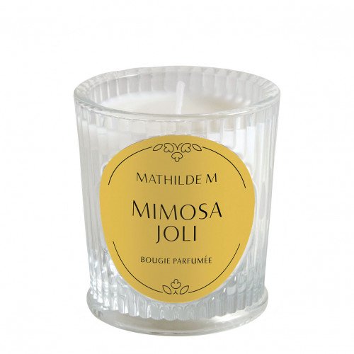 Les Intemporelles Scented Candle 65 g - Mimosa Joli
