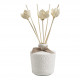 Room fragrance diffuser Petite Indienne 200 ml - Sublime Jasmin