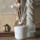 Room fragrance diffuser Petite Indienne 200 ml - Soleil Pastel