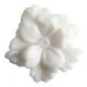 Box of 4 scented wax melts Fleur - Fleur de Thé
