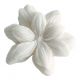 Caixa com 4 decorações fundentes de Jasmim em cera perfumada - Sublime Jasmim