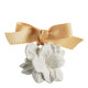 Set of 5 scented decorations - Douceur d'Ambre