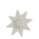 Scented Star Surprises Pearly Celebration - Frosted Fir