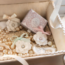 Décor parfumé et concentré de parfum Fête Nacrée - Musc Irisé